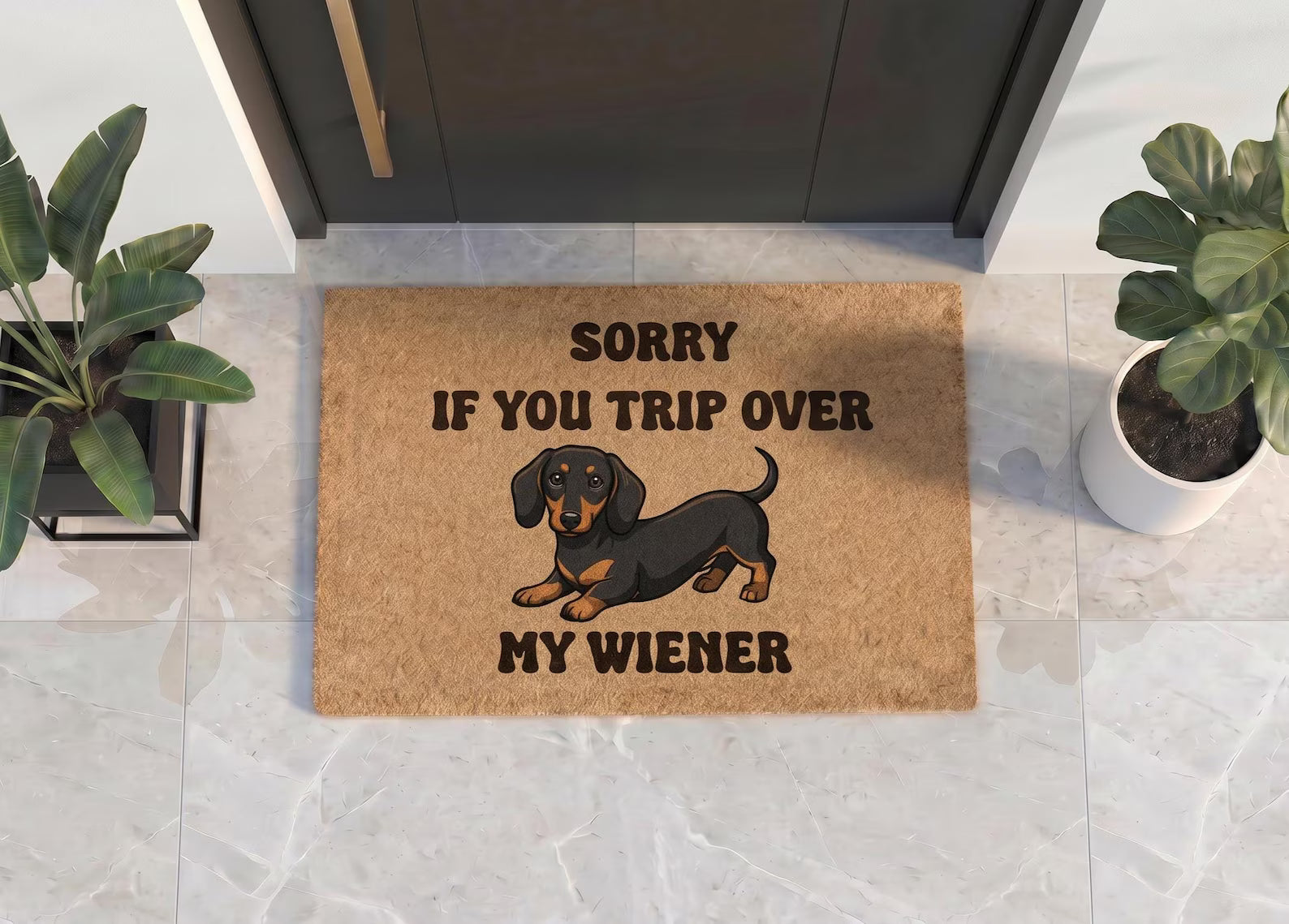 Personalized Dachshund Doormat | Custom Wiener Dog Welcome Mat | Funny Pet Lover Gift | UV Print
